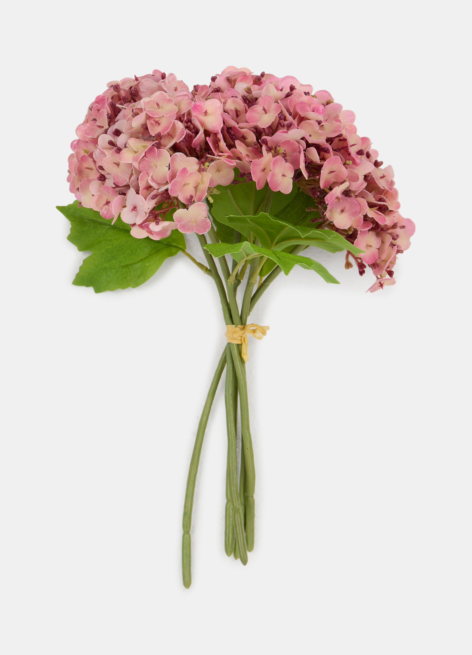 Bouquet of false hydrangeas