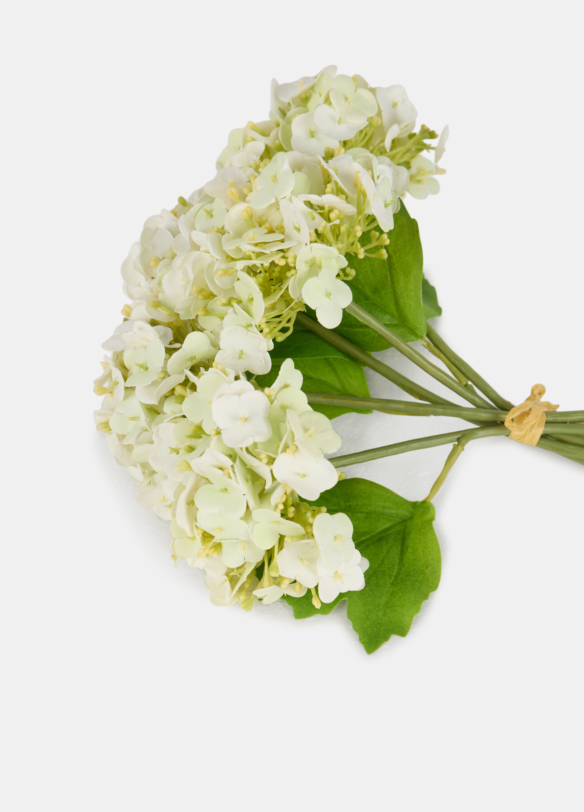 Bouquet of false hydrangeas