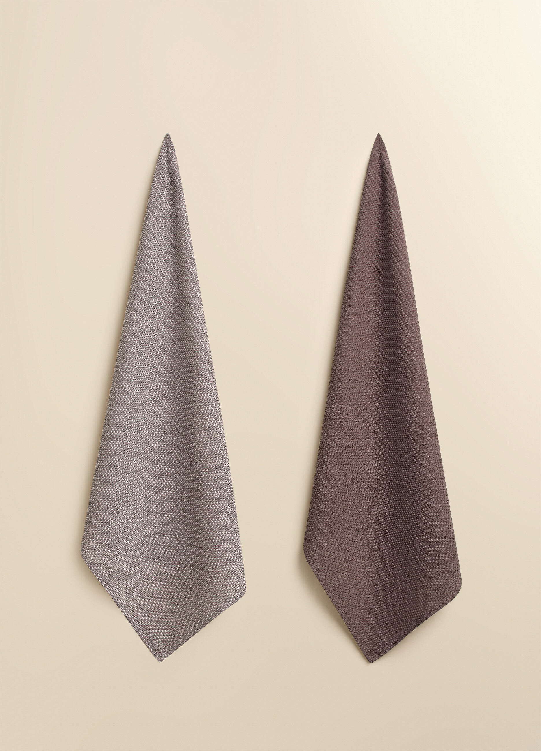 Two-pack two-tone tea towels_1