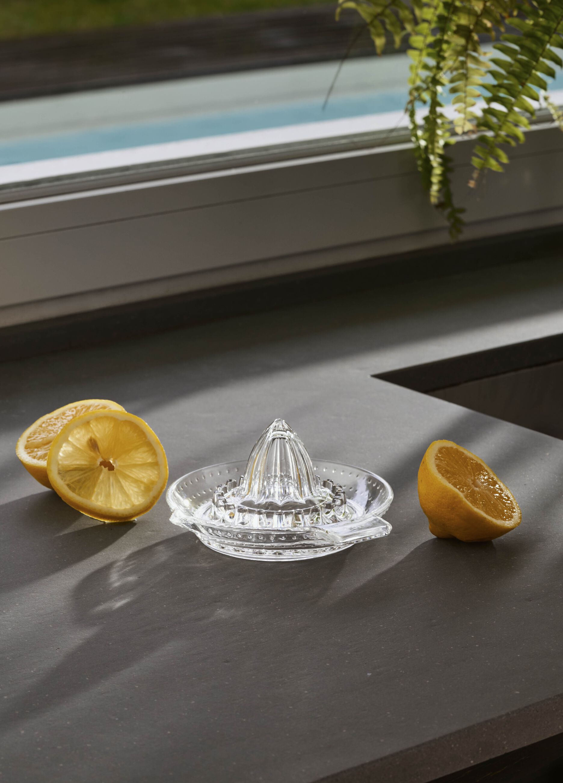 Orange juicer_0