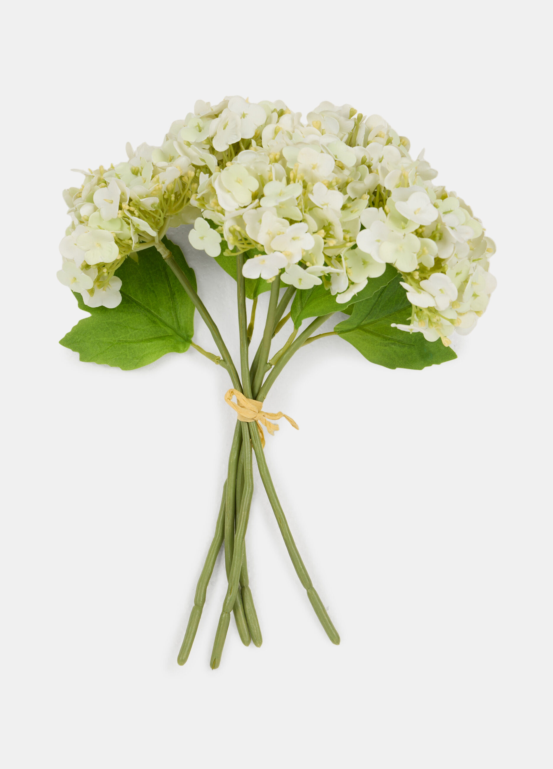 Bouquet of false hydrangeas