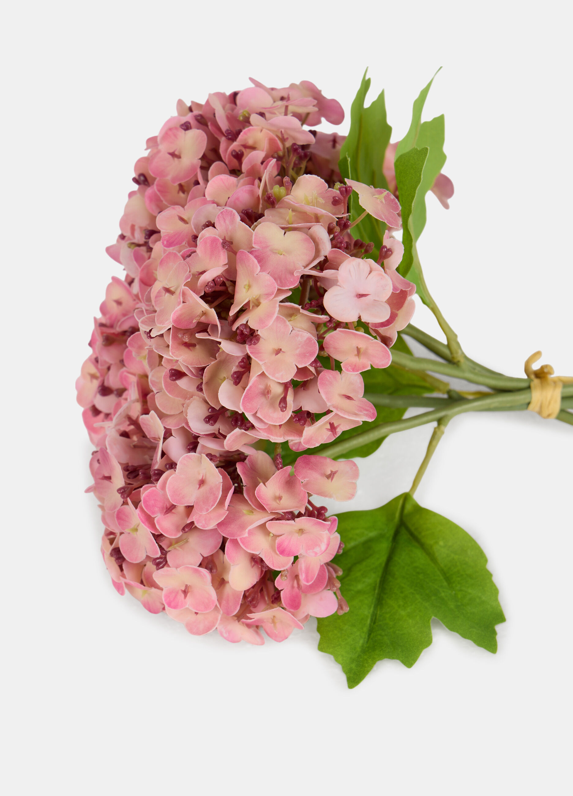 Bouquet of false hydrangeas