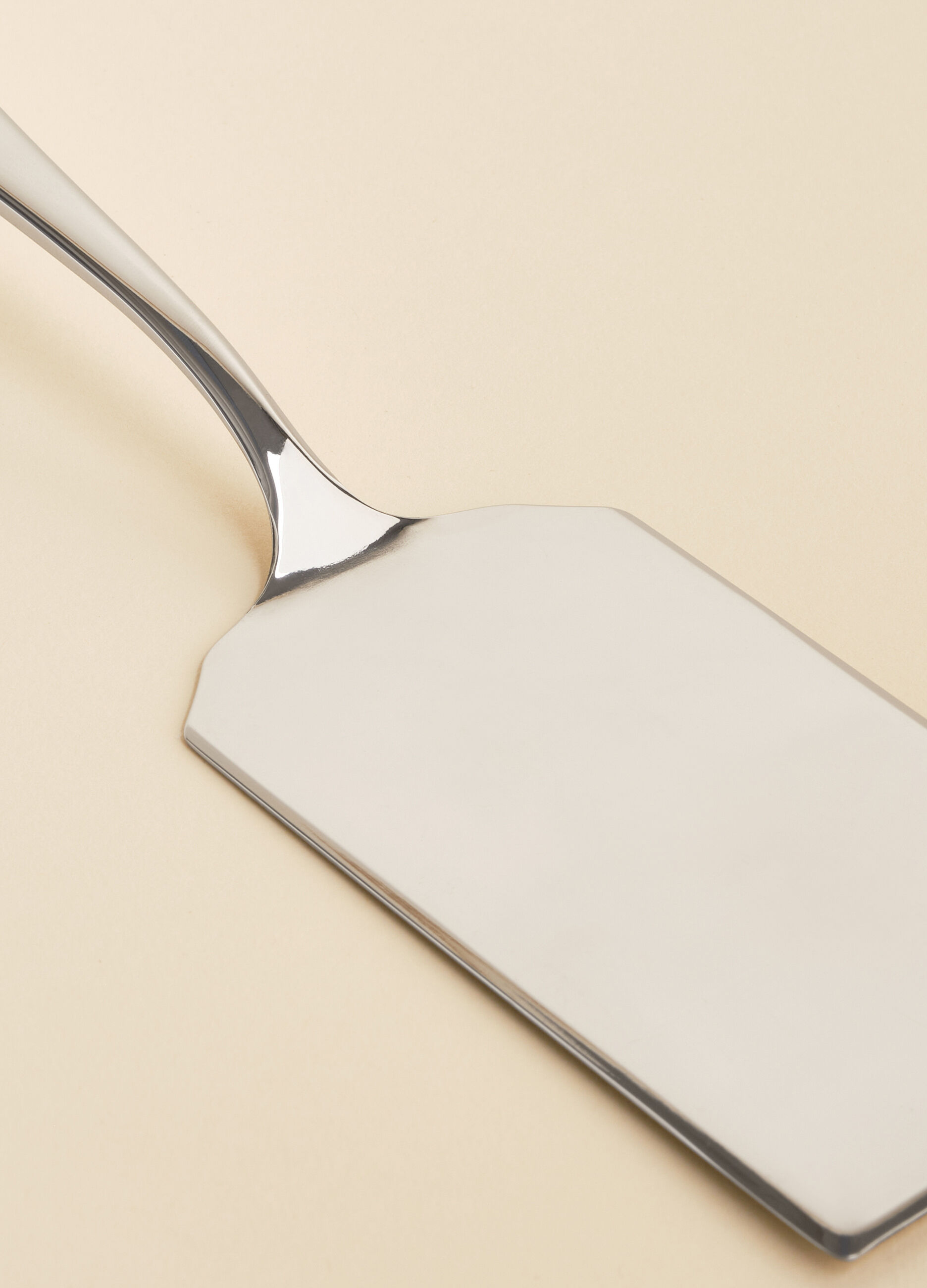 Lasagna spoon in steel Made in Italy_2