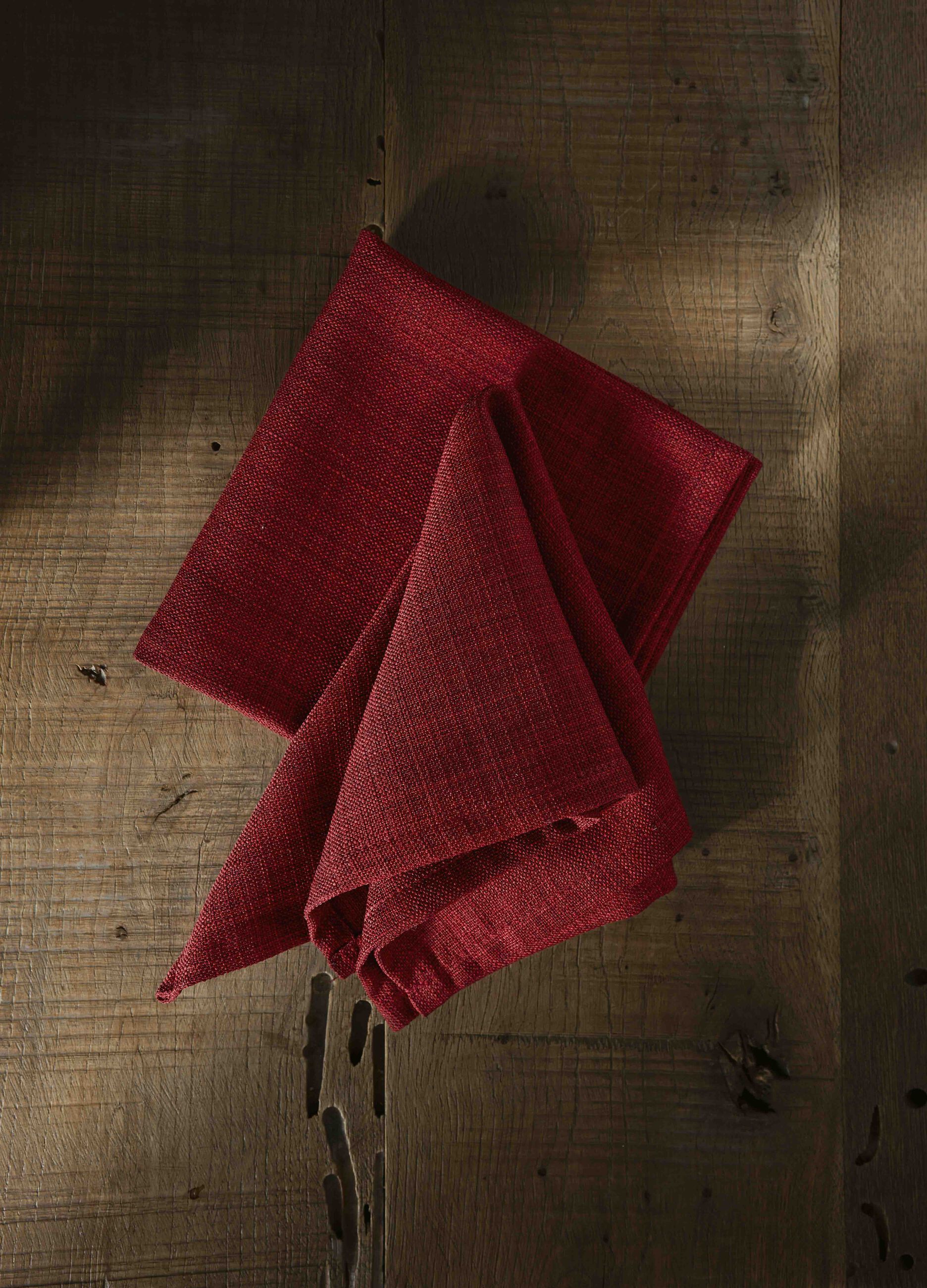 2-pack napkins in stainproof cotton_0